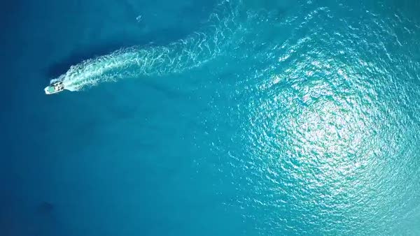 Çekiç balığına takılan 4K görüntülü kamera İle okyanus gezintisi