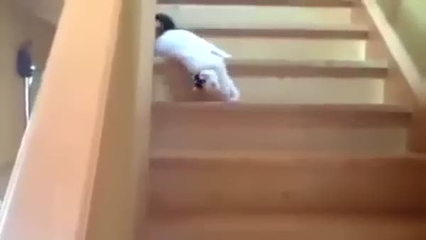 Bu kedinin merdiven inme tarzı çok ilginç