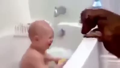 Köpek ıslatmayı seven bebek