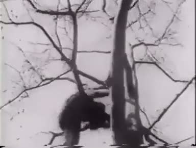 1930'ların en çılgın adamı