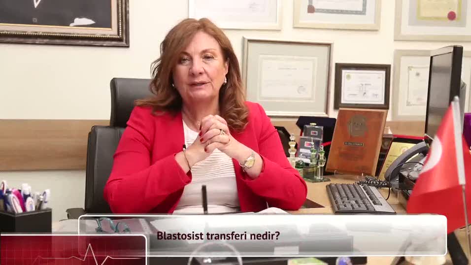 Blastosist transferi nedir?