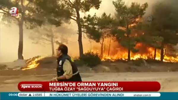 Mersin'de 100 hektarlık alan kül oldu