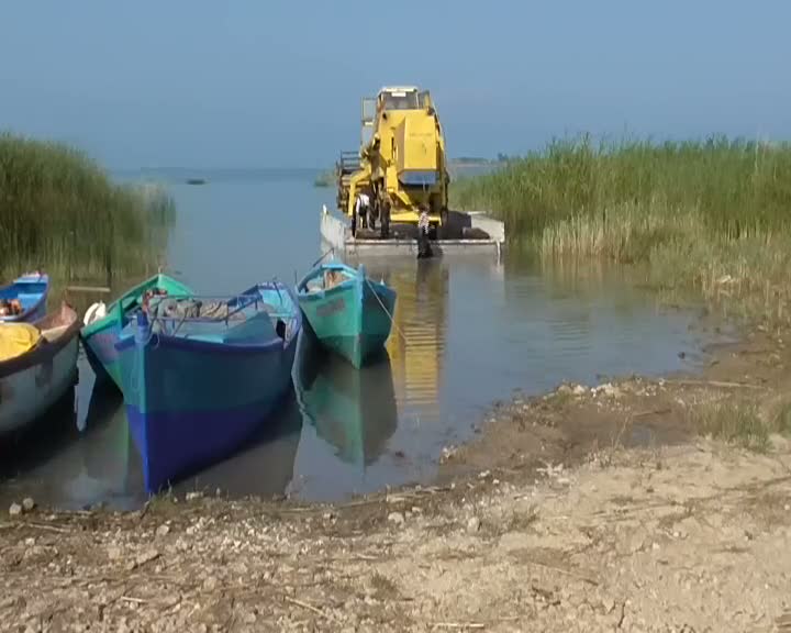 Biçerdöverleri sal üzerinde taşıyorlar