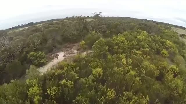 Drone kamerayı gören kartal saldırdı