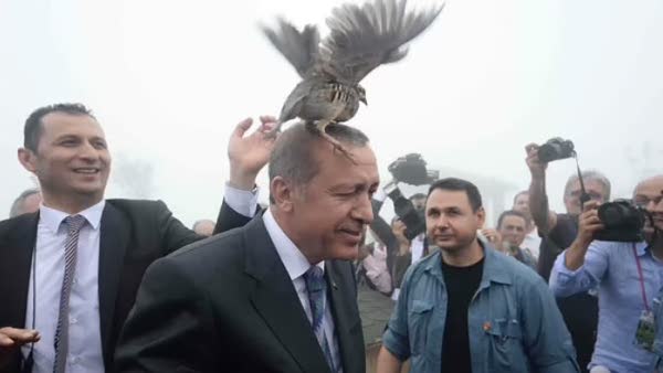 Erdoğan'ın başına keklik kuşu kondu