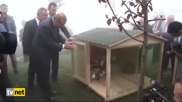 Cumhurbaşkanı Erdoğan'ın başına keklik kuşu kondu