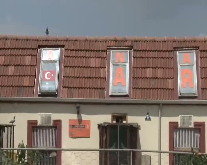 Posta güvercinleri yarıştı