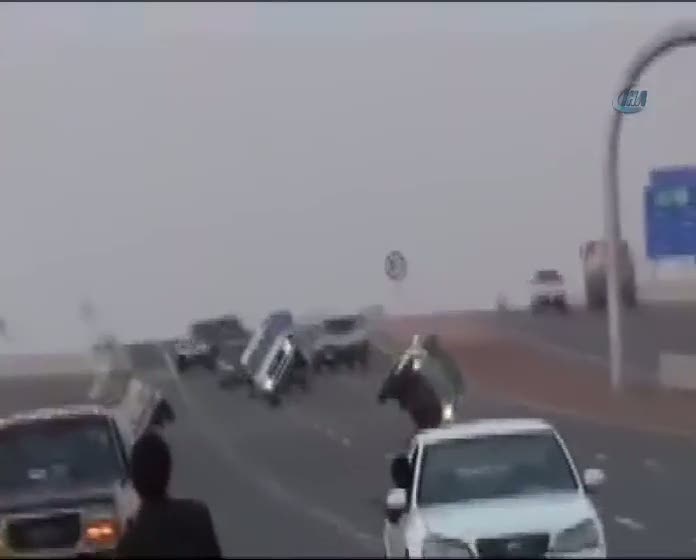 Arap gençlerden ölümüne akrobasi