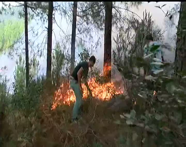 Pendik Kurtköy'de yangın