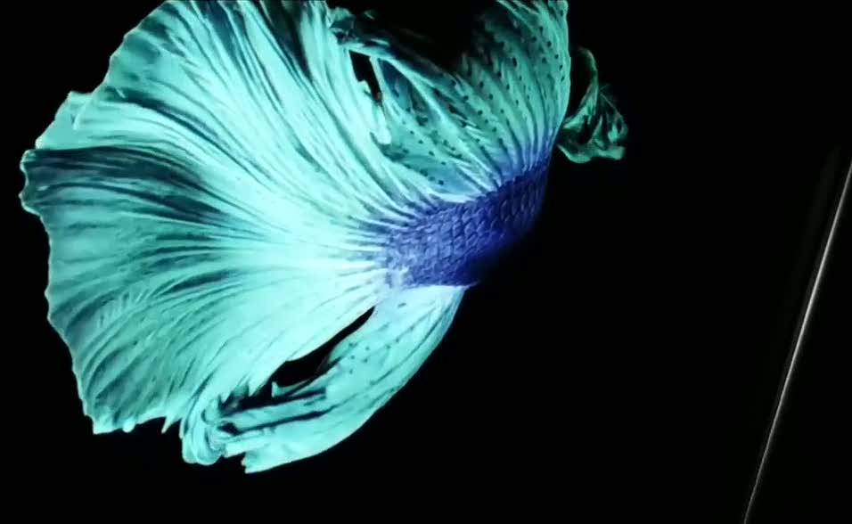 Iphone 6s tanıtımı