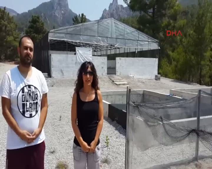 Kurbağa üretim tesisi kuruldu