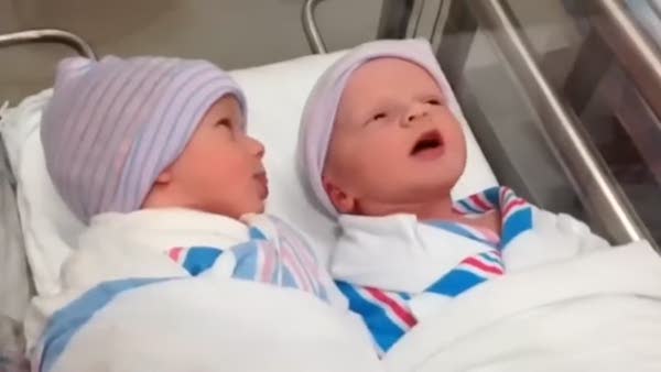 Yeni doğmuş ikizlerin ilk muhabbeti