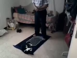 Namaz kılarken rahat bırakmayan kedi