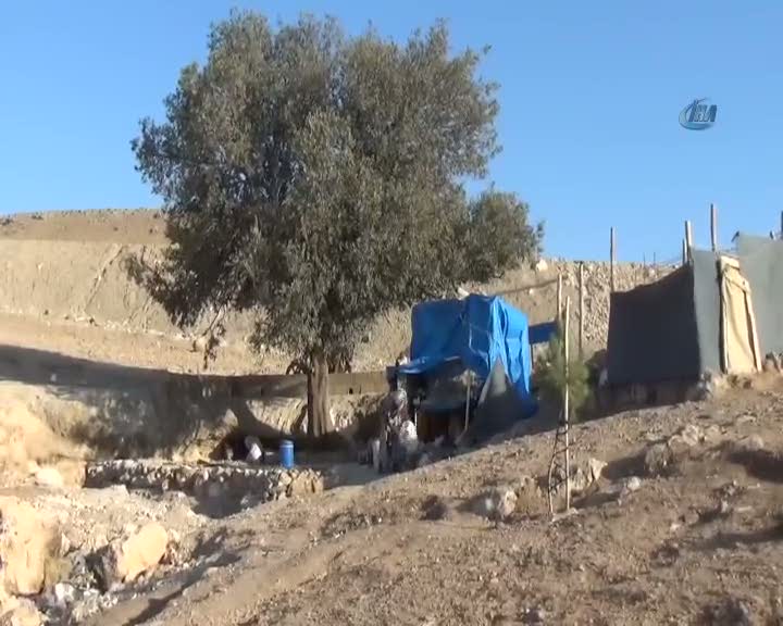 İnsanlardan kaçıp doğada yaşamaya başladı