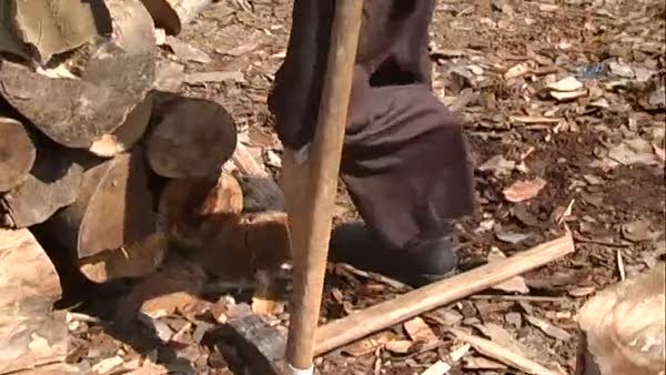 Bir bacağı olmayan yaşlı adam odun kırmaya devam ediyor