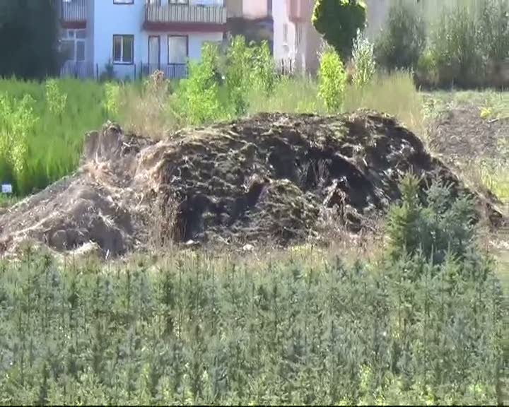 Okul hafriyatında altın sikke çıktı: 21 gözaltı