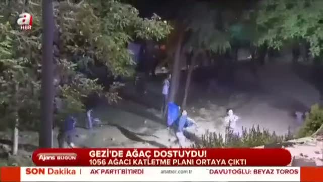 Rant için “Çalı çırpı” raporu!