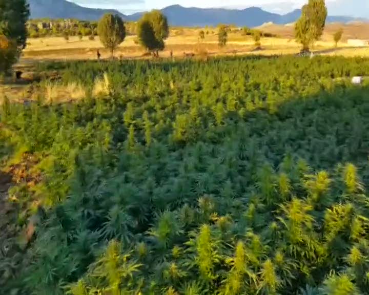 Uyuşturucu operasyonundan dönen askerlere bombalı saldırı