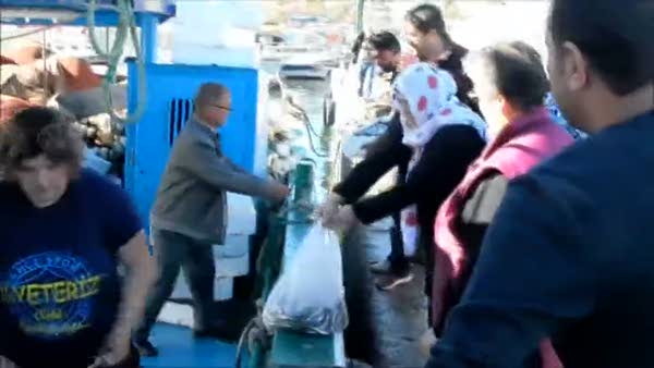 Amasra'da hamsinin kilosu 50 Kuruş