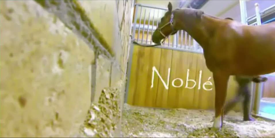 At gizli kameraya yakalandı