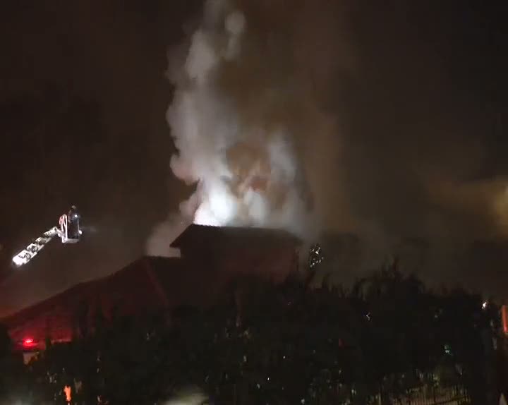 Ankara'da Atatürk Orman Çiftliği'nde yangın