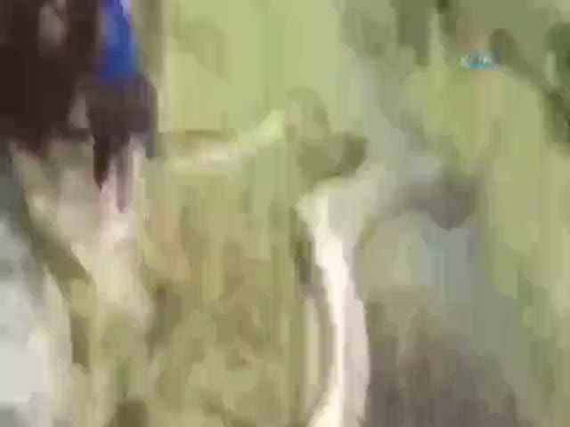 Balığı suya bırakırken öyle bir şey oldu ki