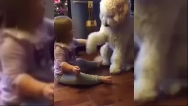 Minik kız köpeğini eğitiyor