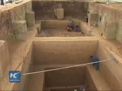 Tam 1 milyon yaşında, bilim dünyası şokta
