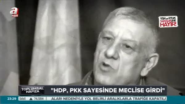 'HDP PKK sayesinde meclise girdi'