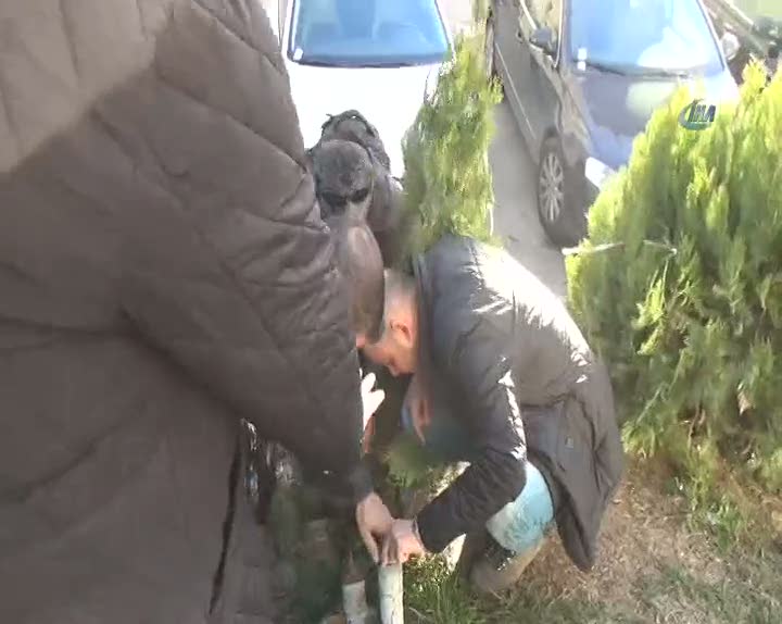 2 saatlik kedi kurtarma operasyonu!