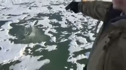 Buz tabakasına ateş edilirse ne olur?