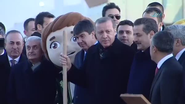 945 yaşındaki ağaca can suyu Cumhurbaşkanı Erdoğan’dan