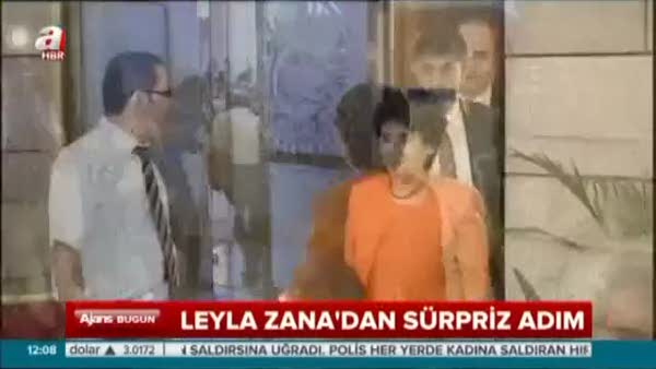 Zana'dan Erdoğan'a randevu talebi