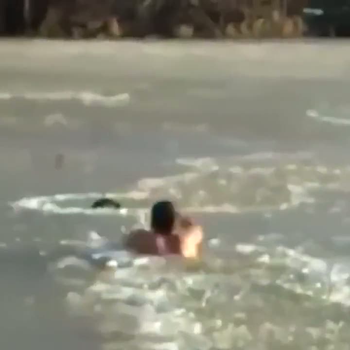 Buz gibi suda yüzerek köpeği kurtaran adam