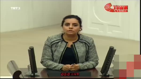 CHP Milletvekili Selina Doğan'dan skandal sözler