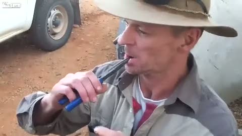 Kargaburun ile diş çeken adamlar