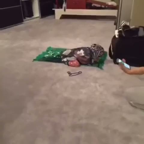 Demet Akalın'ın kızı namaz kıldı