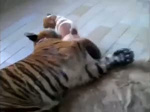 Kaplanın dostu şaşırtıcı
