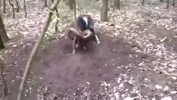 Boynuzu ağaca takılan dağ keçisini kurtardılar