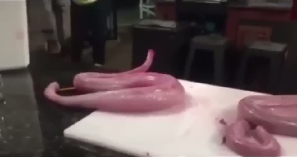 Başı kesilmiş yılan canlandı!