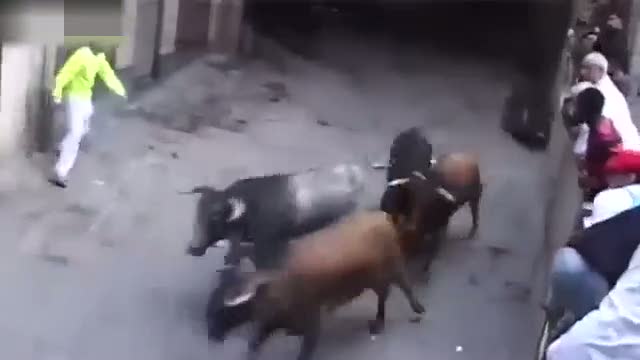 Boğa genç kıza böyle saldırdı!