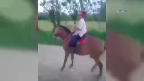 Sahibinin sesine at bile dayanamadı