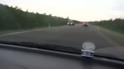 Otoyolu haraca kesen ayı yavrusu!