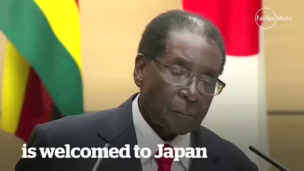 Zimbabve lideri Mugabe ayakta uyudu