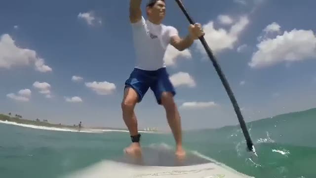 Sörf yaparken köpek balığı ile çarpıştı!