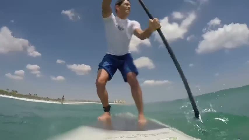 Sörf yaparken köpek balığı ile çarpışan adam
