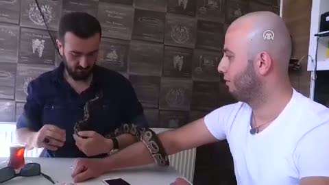 Yılanını almadan hiç bir yere girmeyen adam!