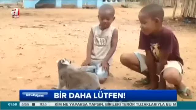 Bakın sevimli lemur küçük çocuktan ne istiyor