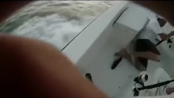 Balık avında köpek balığı saldırısı