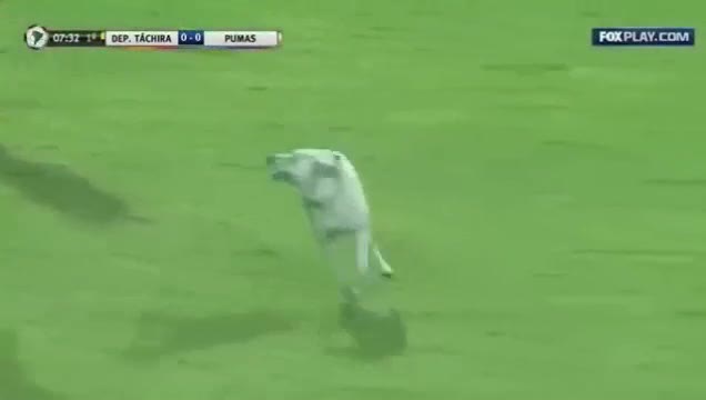 Sahaya giren köpek maçı durdurdu!